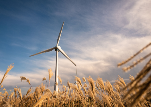 Wind Turbine in wheat field